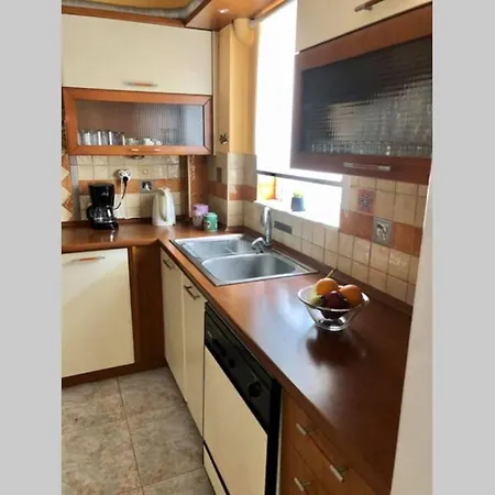 Elina's Spacious In With Private Parking Apartment